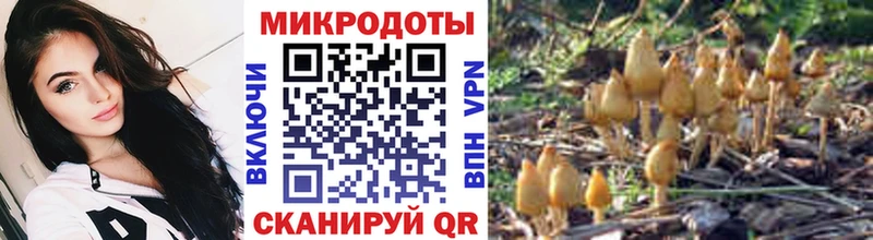 Галлюциногенные грибы прущие грибы Нытва
