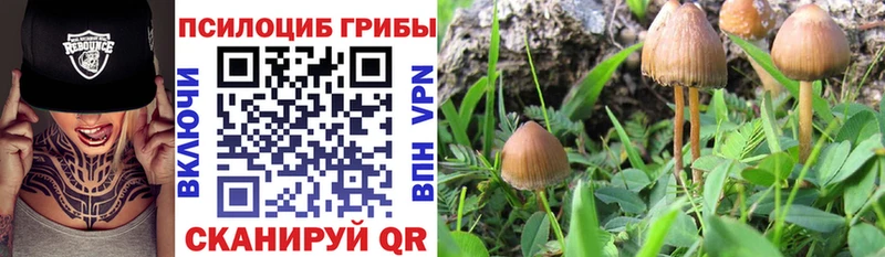 наркотики  гидра вход  Галлюциногенные грибы Magic Shrooms  Нытва 
